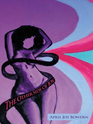 bigCover of the book The Other Side of Joy by 