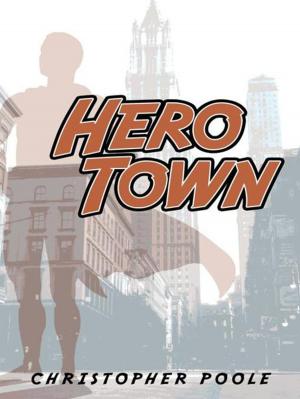 bigCover of the book Hero Town by 