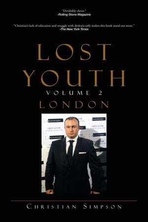 Cover of the book Lost Youth Volume 2 by Terryson Himayumbula