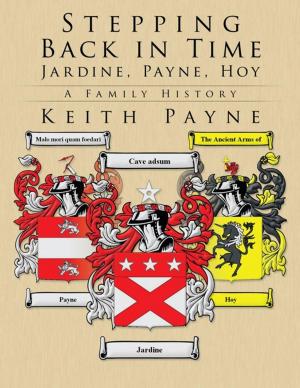 Cover of the book Stepping Back in Time - Jardine, Payne, Hoy by Alexander O. Sign