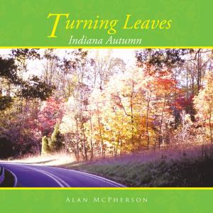 Cover of the book Turning Leaves by Monica Hawkins Ph.D. M.P.H.