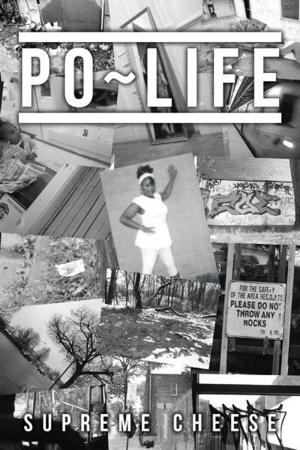 Cover of the book Po ~ Life by Michele Jackson Taylor