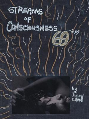 Cover of the book Streams of Consciousness 69 Times by Kenneth David Brubacher