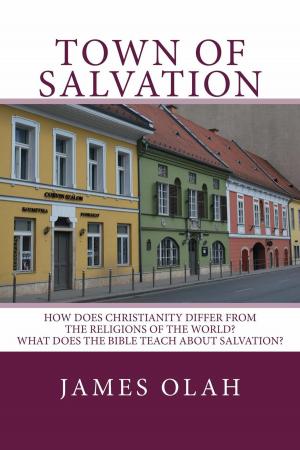 Cover of the book Town of Salvation by MaryAnn Diorio