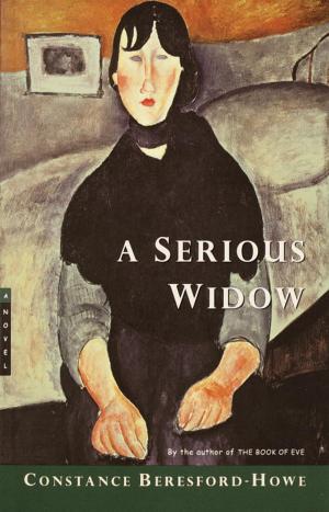 Cover of the book A Serious Widow by J.R. Miller