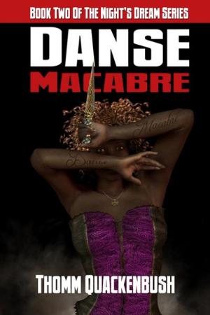 Cover of the book Danse Macabre by Thea Landen