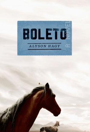 Cover of the book Boleto by Andreï Makine