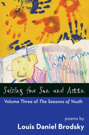 Book cover of Seizing the Sun and Moon: Volume Three of The Seasons of Youth
