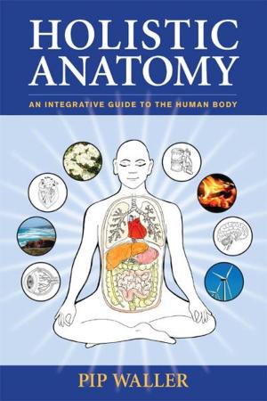 Cover of the book Holistic Anatomy by Michael Harner