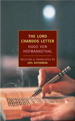 Cover of the book The Lord Chandos Letter by David Mendel