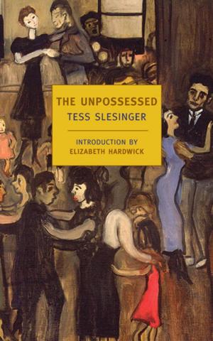 Cover of the book The Unpossessed by Mael Renouard