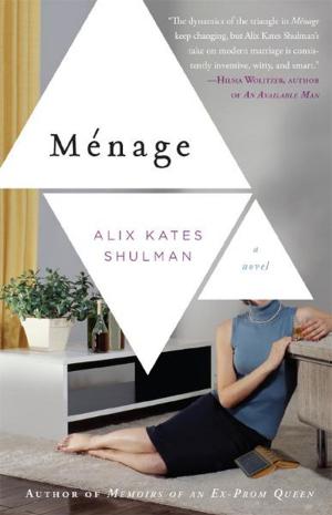 Cover of the book Menage by Elisabeth Åsbrink