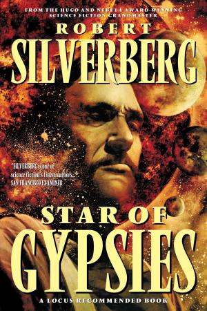 Cover of the book Star Of Gypsies by Andrew P. Mayer