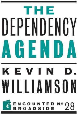 Cover of the book The Dependency Agenda by Heather Mac Donald