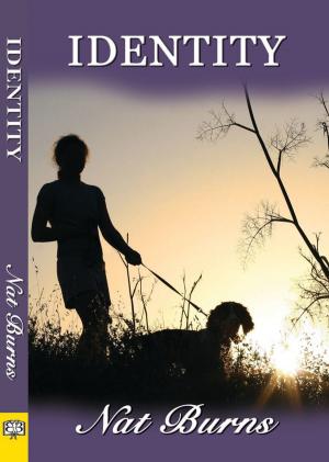 Cover of the book Identity by Amy Briant