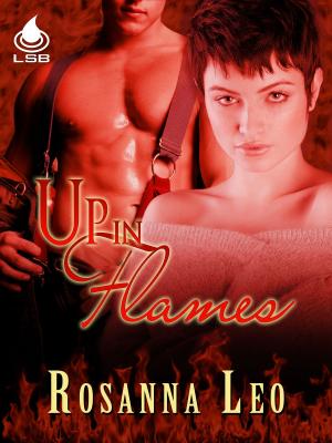 Cover of the book Up In Flames by Monette Michaels