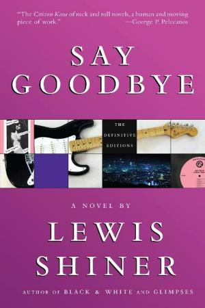 Book cover of Say Goodbye