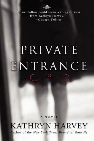Cover of the book Private Entrance by Danielle Dardashti, Roni Sarig