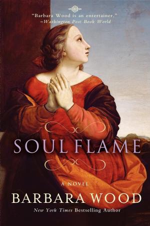 bigCover of the book Soul Flame by 