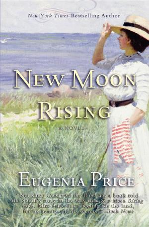Book cover of New Moon Rising