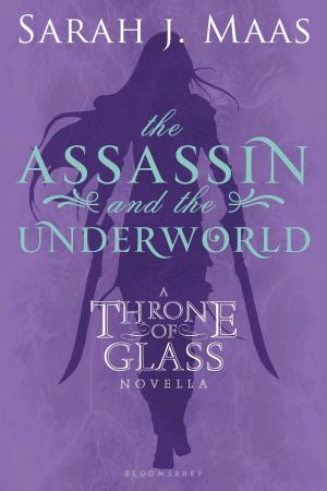 Cover of the book The Assassin and the Underworld by Jo Cotterill