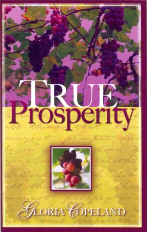 Cover of the book True Prosperity by Bob Yandian