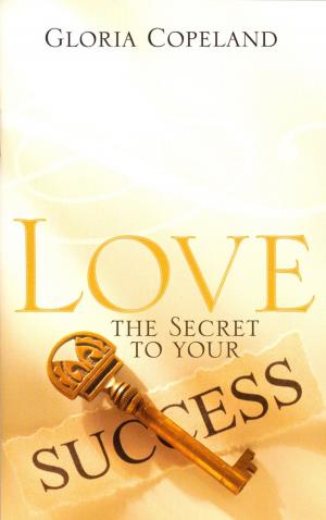 Cover of the book Love - The Secret to Your Success by David Théry, Jérémy Sourdril, Alain Auderset