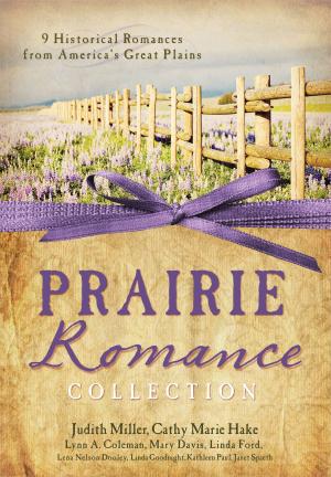 Book cover of The Prairie Romance Collection: 9 Historical Romances from America's Great Plains
