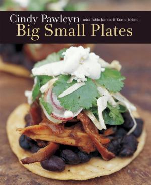 Book cover of Big Small Plates