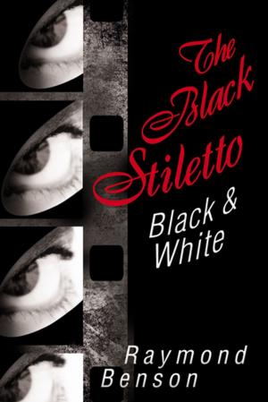 Cover of the book The Black Stiletto: Black & White by Caleb Mertz