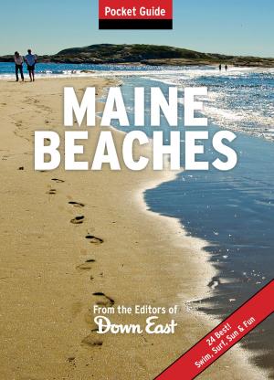 Cover of the book Maine Beaches by Daren Worcester