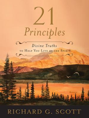 Cover of the book 21 Principles by 