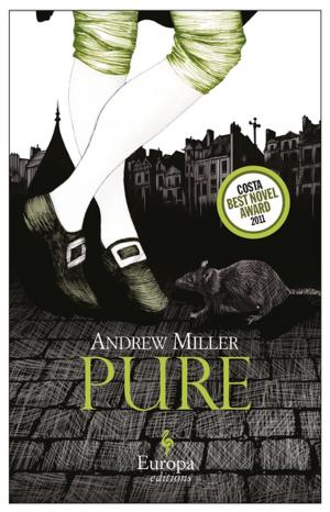 Cover of the book Pure by Elena Ferrante