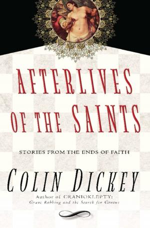 Cover of the book Afterlives of the Saints by Shann Ray
