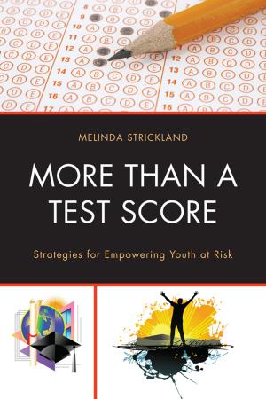 Cover of the book More than a Test Score by John R. Shoup, Susan Clark Studer