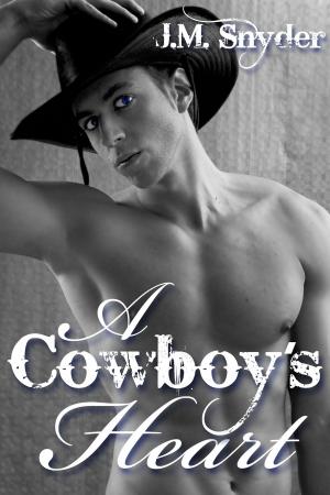 Cover of the book A Cowboy's Heart by J.M. Snyder