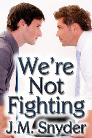 Cover of the book We're Not Fighting by J.M. Snyder