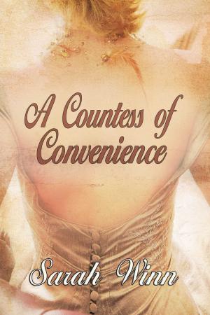 Cover of the book A Countess of Convenience by Bruce Cooke