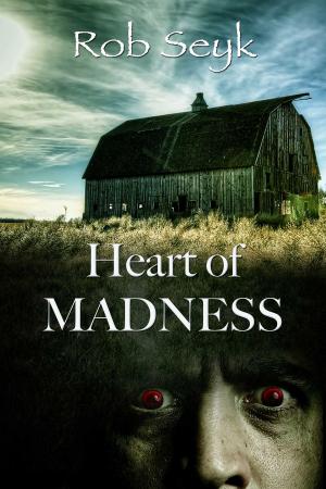 Cover of the book Heart Of Madness by Christopher Grimmstad
