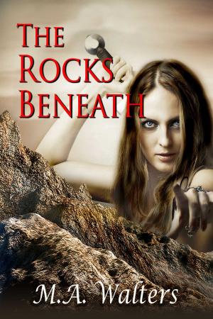 Cover of the book The Rocks Beneath by Cheryl Gardarian