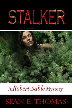 Cover of the book Stalker by Barry M Vass
