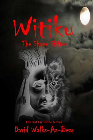 Book cover of Witiku
