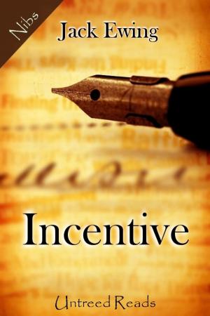Book cover of Incentive
