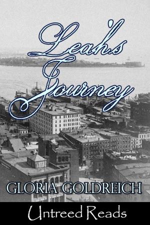bigCover of the book Leah's Journey by 
