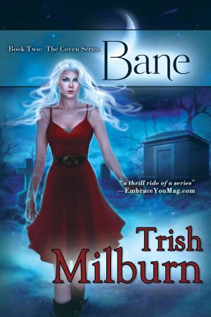 Cover of the book Bane by Elizabeth Sinclair