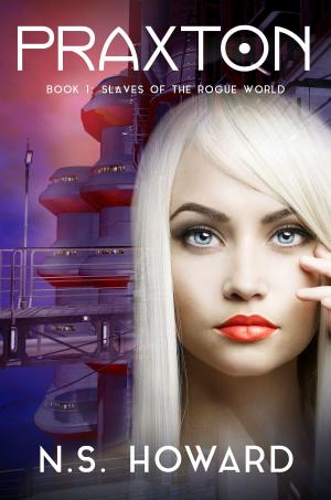 Cover of the book Slaves Of The Rogue World by Barbara Donlon Bradley