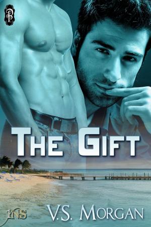Cover of the book The Gift by Brenna Zinn