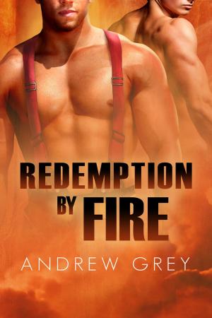 Cover of the book Redemption by Fire by Chris T. Kat