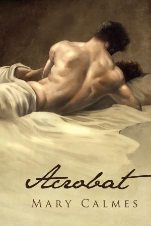 Cover of the book Acrobat by Andrew Grey