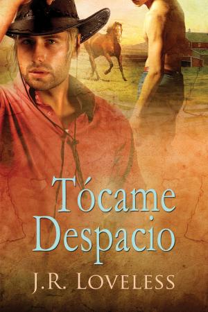 bigCover of the book Tócame Despacio by 